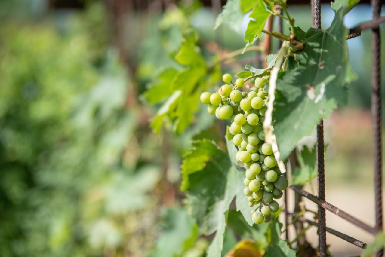 Villetta Corbezzolo San Teodoro  Ngoại thất bức ảnh